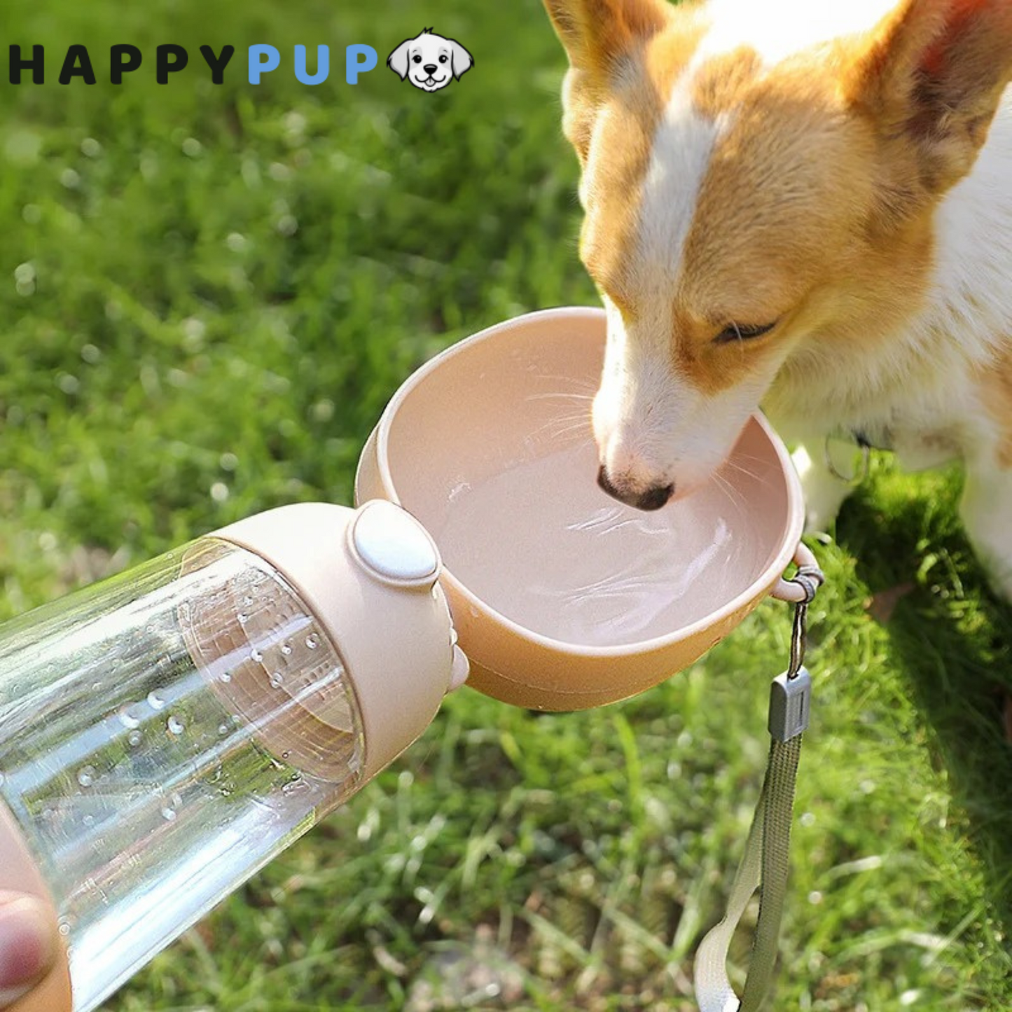 Portable Water & Food Bowl